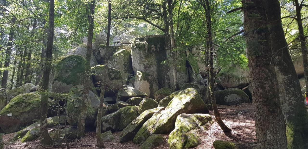 Apartament Am Oberen Buehl Furtwangen im Schwarzwald Zewnętrze zdjęcie